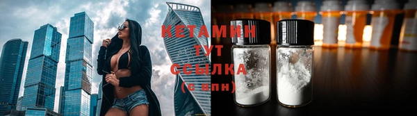 дмт Вяземский