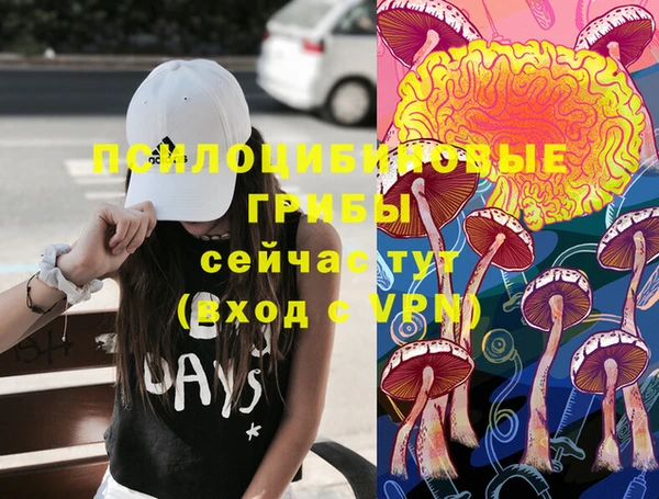 герыч Володарск