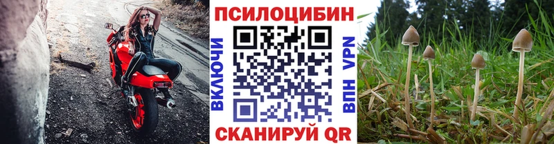 Псилоцибиновые грибы GOLDEN TEACHER  Купить где  Палласовка 